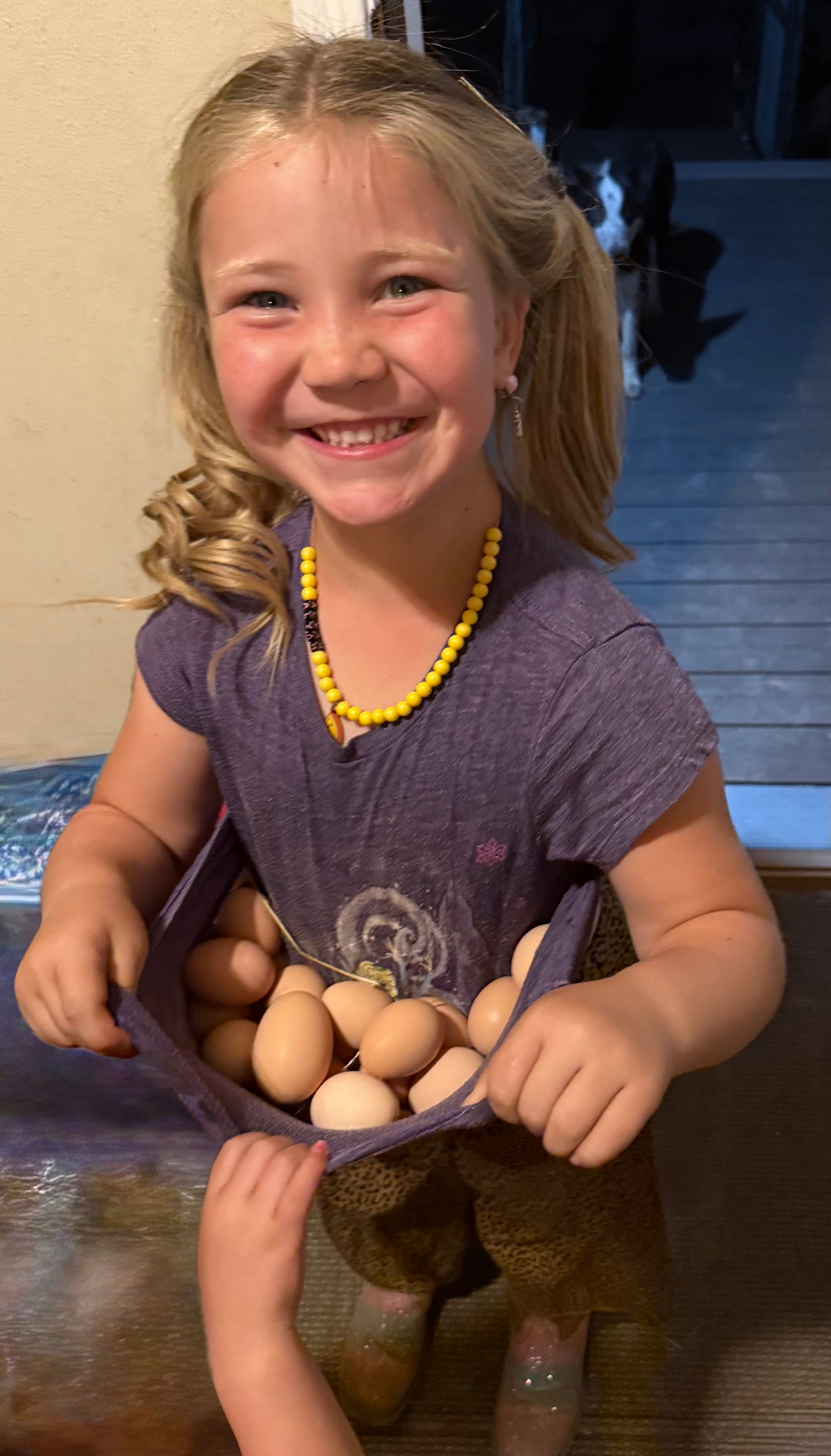 FARM FRESH EGGS- PICK UP ONLY